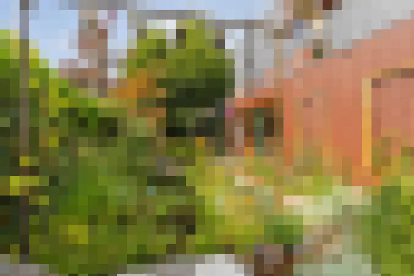 Collierstraat 33 Almere thumbnail 38