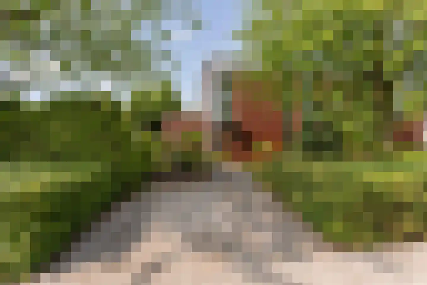 Collierstraat 33 Almere thumbnail 4