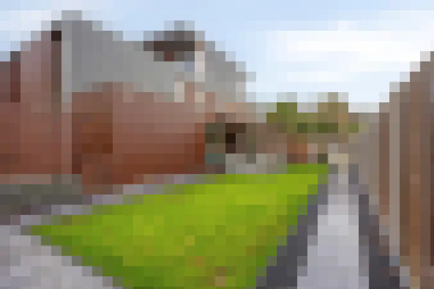 Collierstraat 35 Almere thumbnail 31