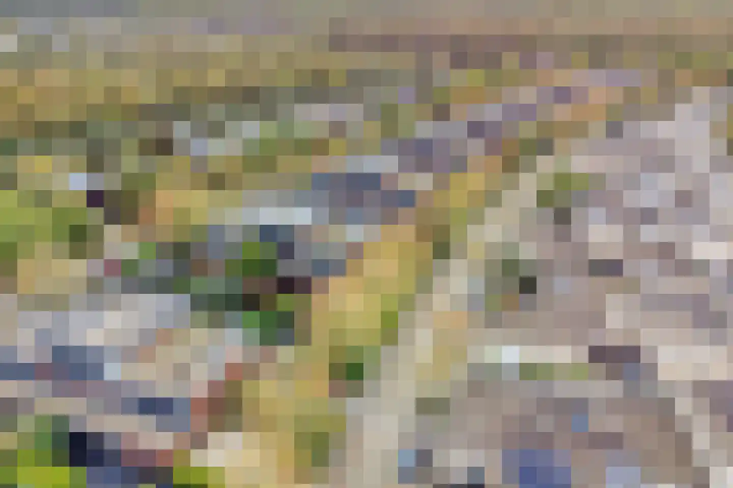 Collierstraat 35 Almere thumbnail 36