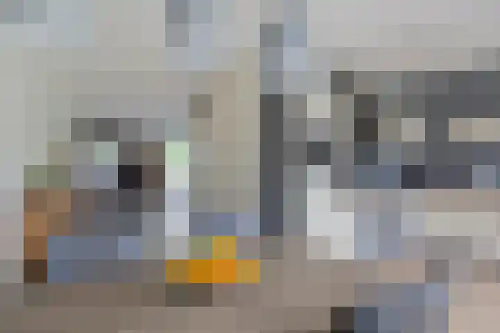 Collinserf 12 Melick thumbnail 13