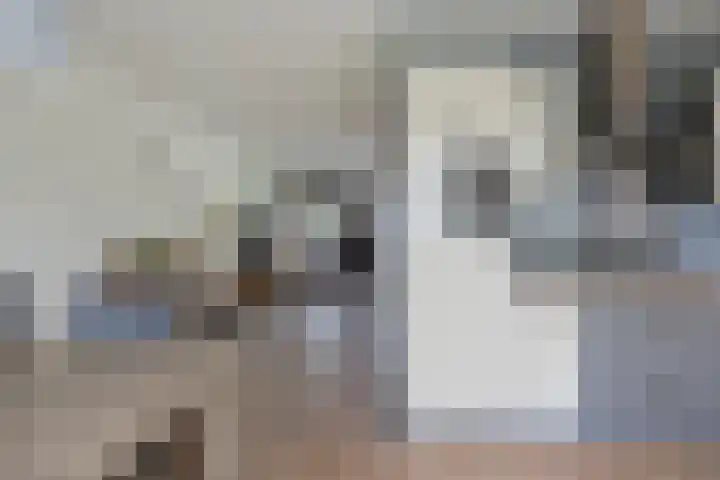 Collinserf 12 Melick thumbnail 14