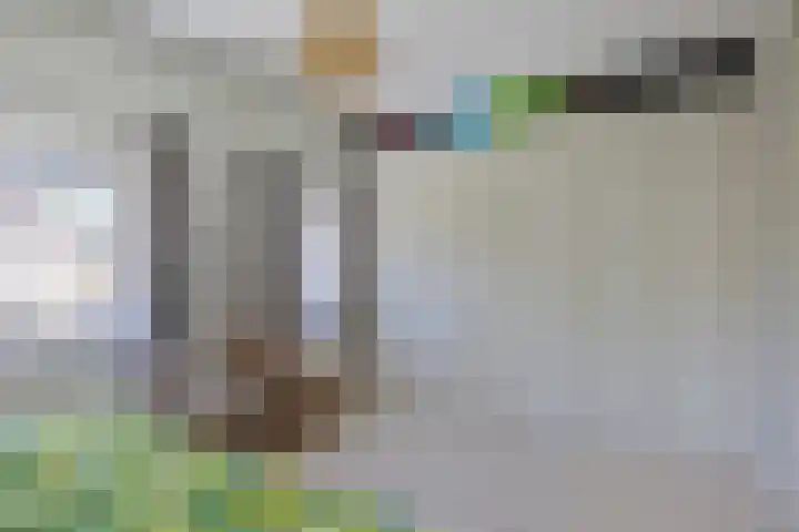 Collinserf 12 Melick thumbnail 20
