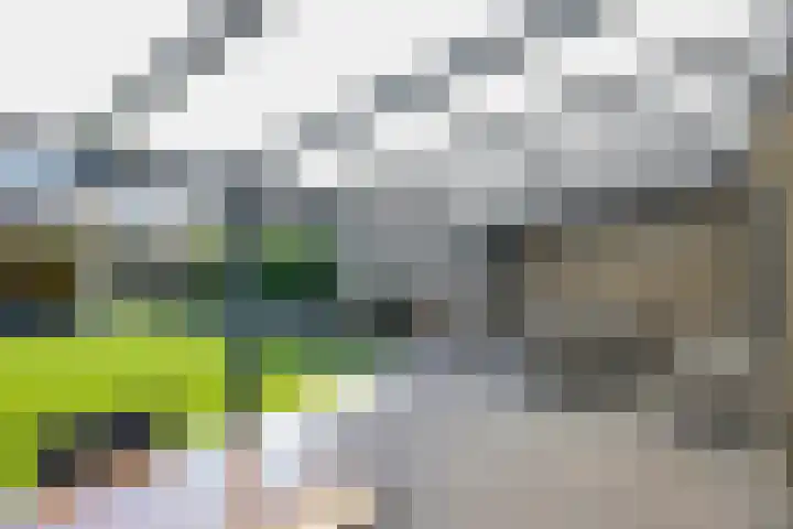 Collinserf 12 Melick thumbnail 26
