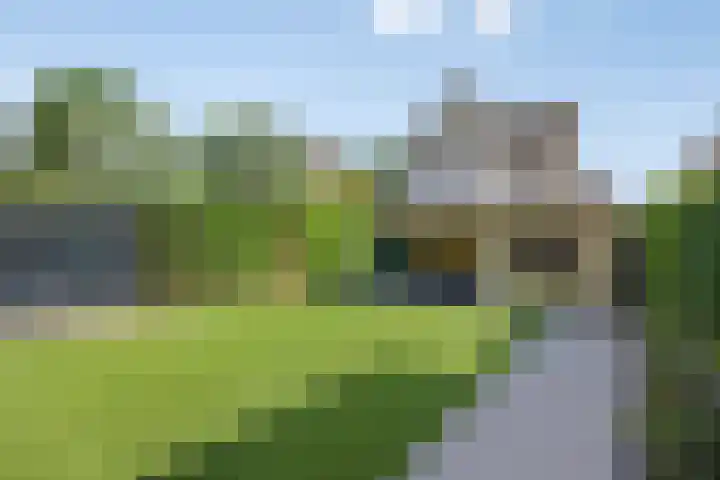 Collinserf 12 Melick thumbnail 28