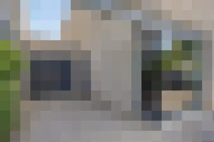 Collinserf 12 Melick thumbnail 5