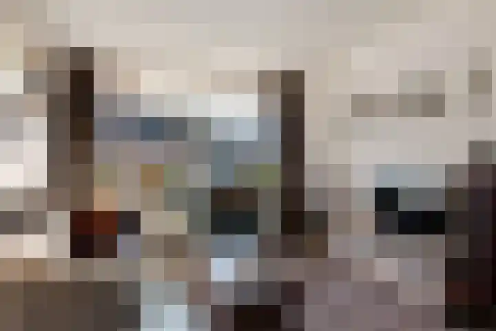 Collot d'Escurystrjitte 9 Minnertsga thumbnail 11