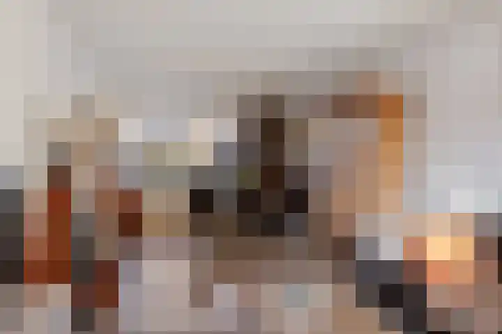 Collot d'Escurystrjitte 9 Minnertsga thumbnail 12