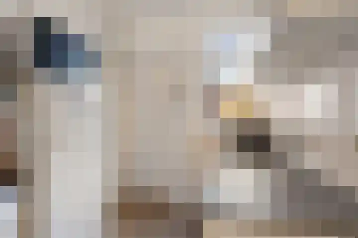 Collot d'Escurystrjitte 9 Minnertsga thumbnail 13