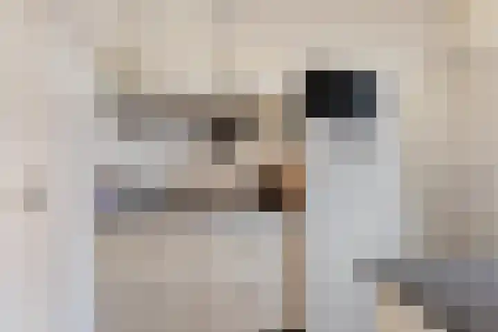 Collot d'Escurystrjitte 9 Minnertsga thumbnail 14