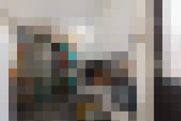 Collot d'Escurystrjitte 9 Minnertsga thumbnail 15