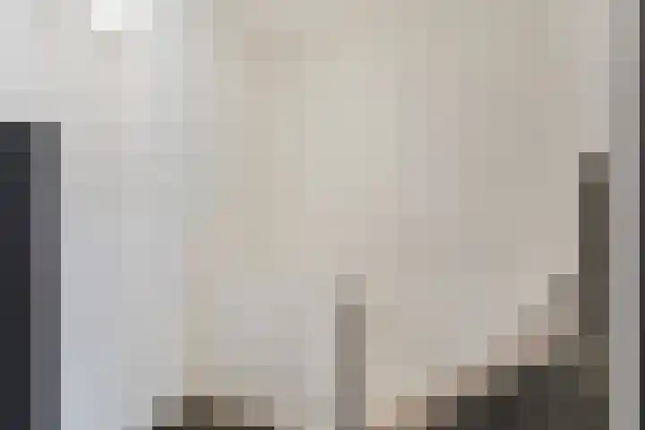Collot d'Escurystrjitte 9 Minnertsga thumbnail 17