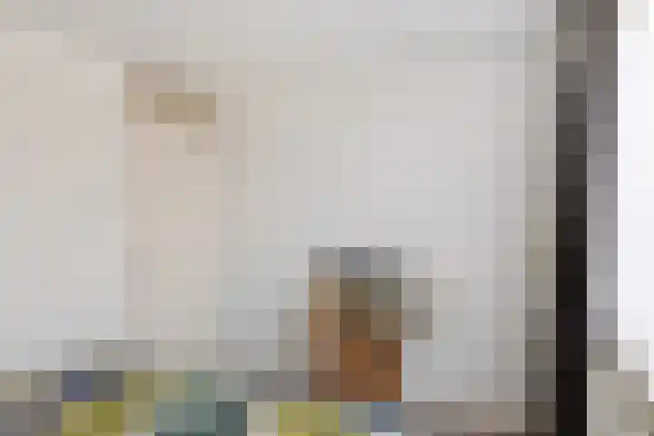 Collot d'Escurystrjitte 9 Minnertsga thumbnail 19