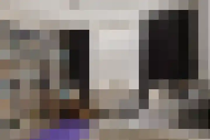 Collot d'Escurystrjitte 9 Minnertsga thumbnail 20