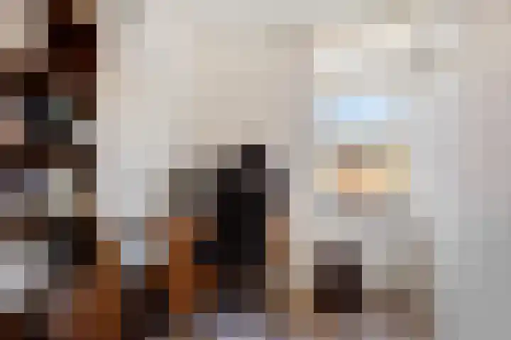 Collot d'Escurystrjitte 9 Minnertsga thumbnail 22