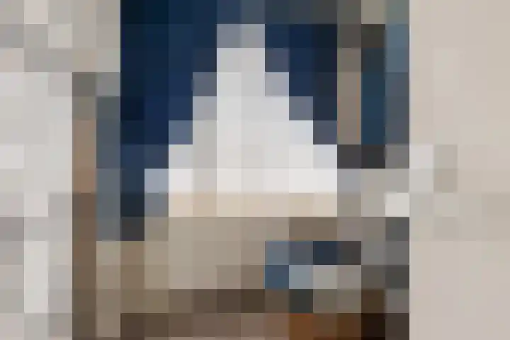 Collot d'Escurystrjitte 9 Minnertsga thumbnail 23