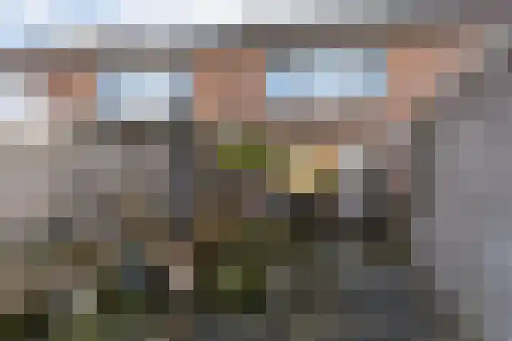 Collot d'Escurystrjitte 9 Minnertsga thumbnail 28