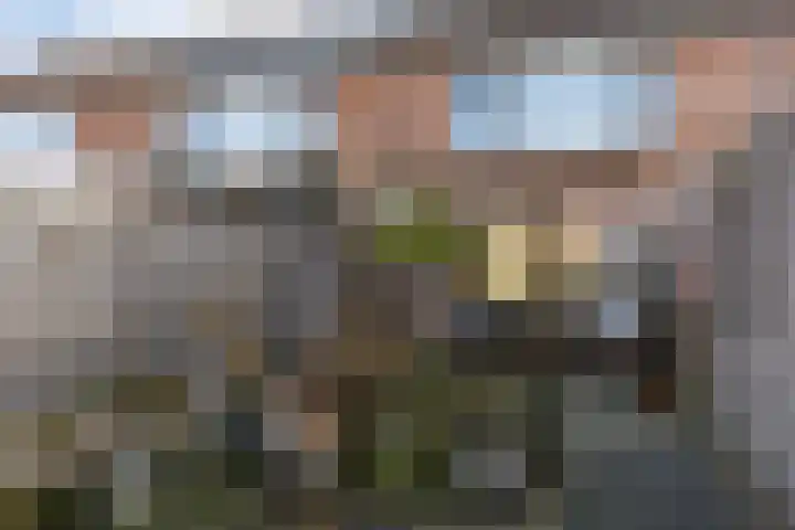 Collot d'Escurystrjitte 9 Minnertsga thumbnail 30