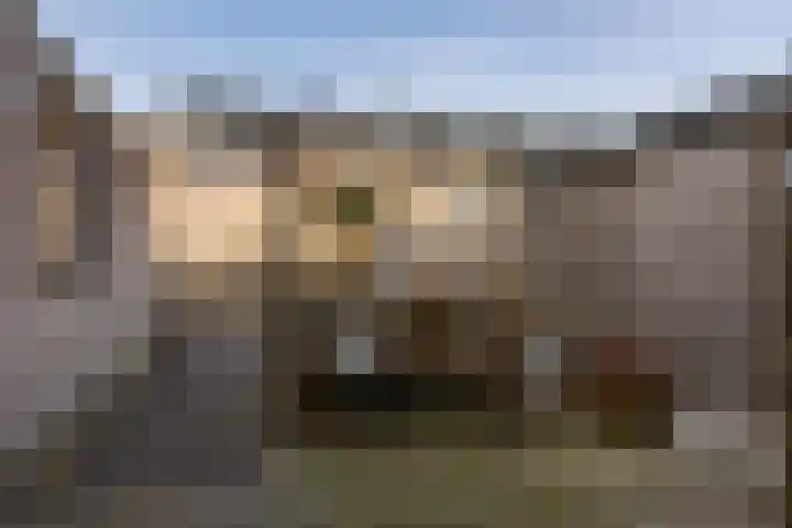 Collot d'Escurystrjitte 9 Minnertsga thumbnail 31