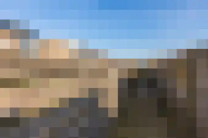 Collot d'Escurystrjitte 9 Minnertsga thumbnail 33