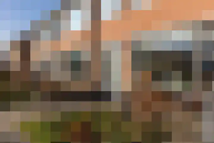 Collot d'Escurystrjitte 9 Minnertsga thumbnail 6