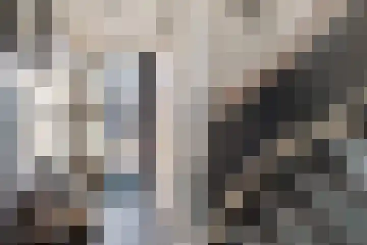 Collot d'Escurystrjitte 9 Minnertsga thumbnail 8