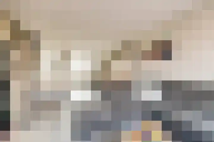 Colman 4 De Lier thumbnail 10