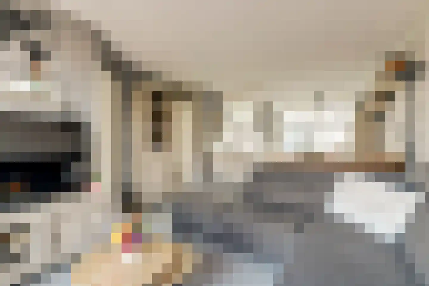 Colman 4 De Lier thumbnail 11