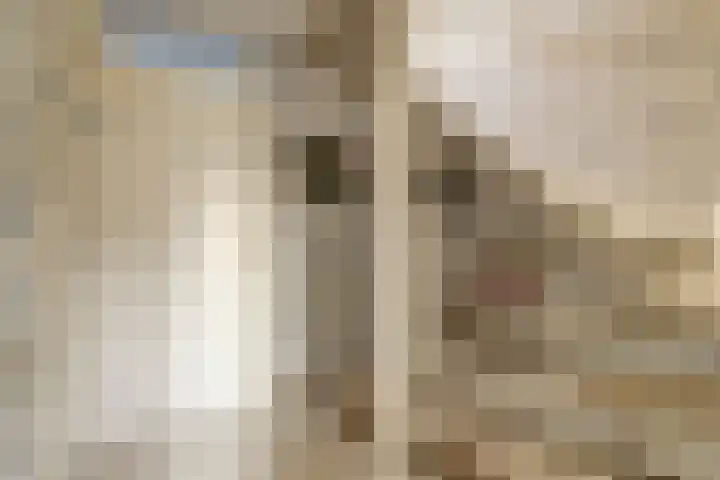 Colman 4 De Lier thumbnail 17