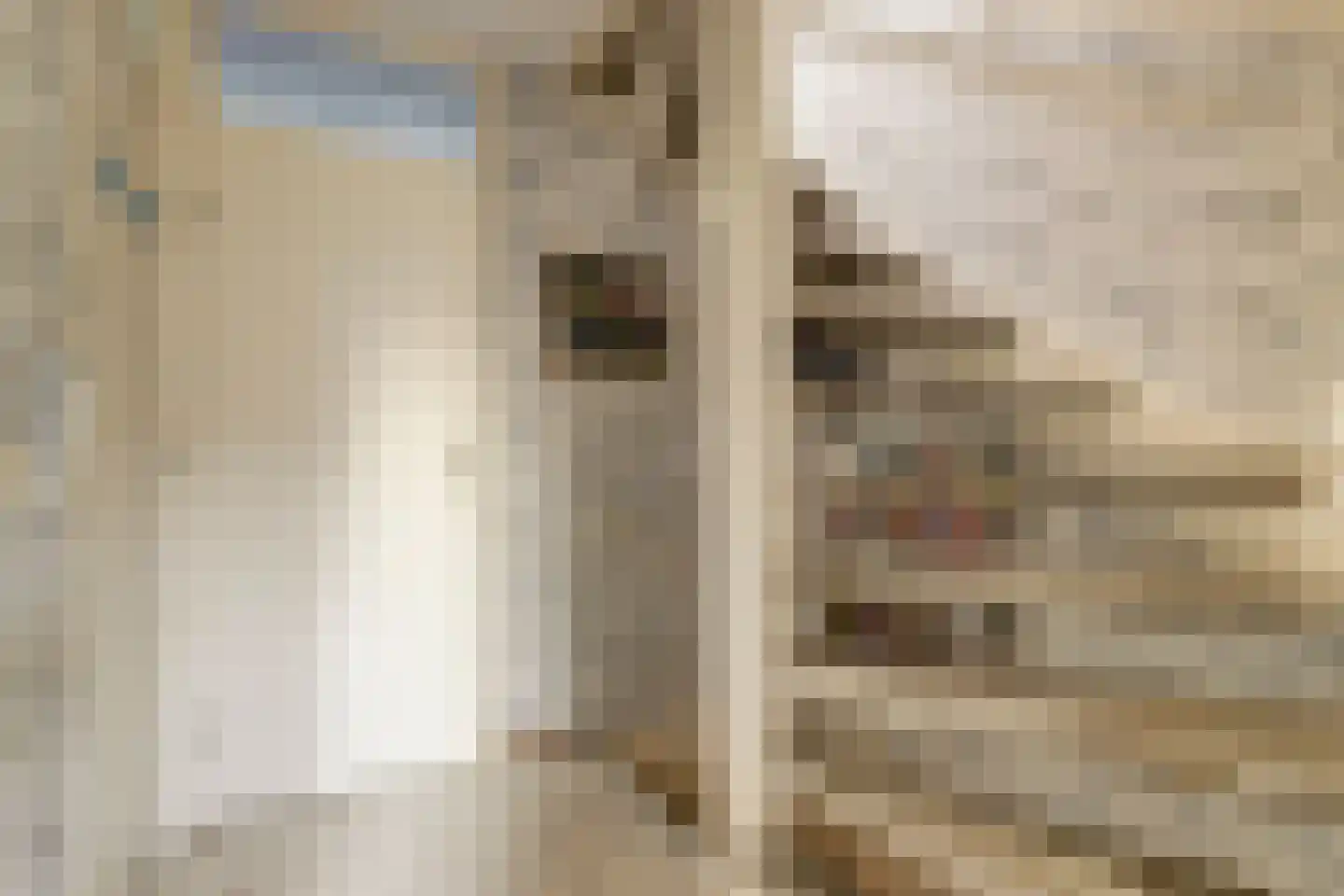 Colman 4 De Lier thumbnail 17