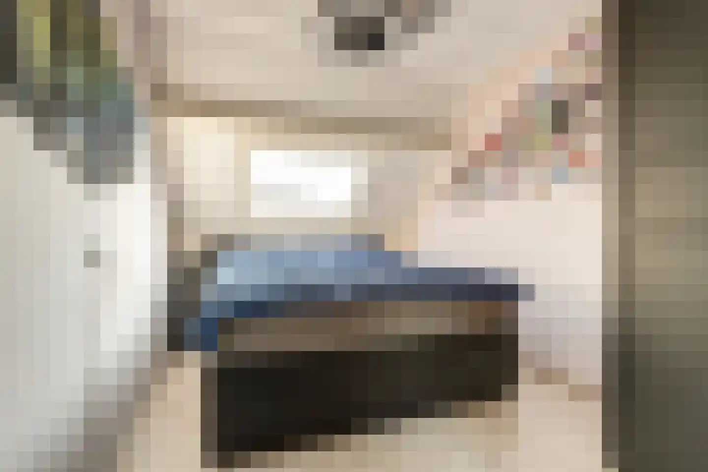 Colman 4 De Lier thumbnail 20