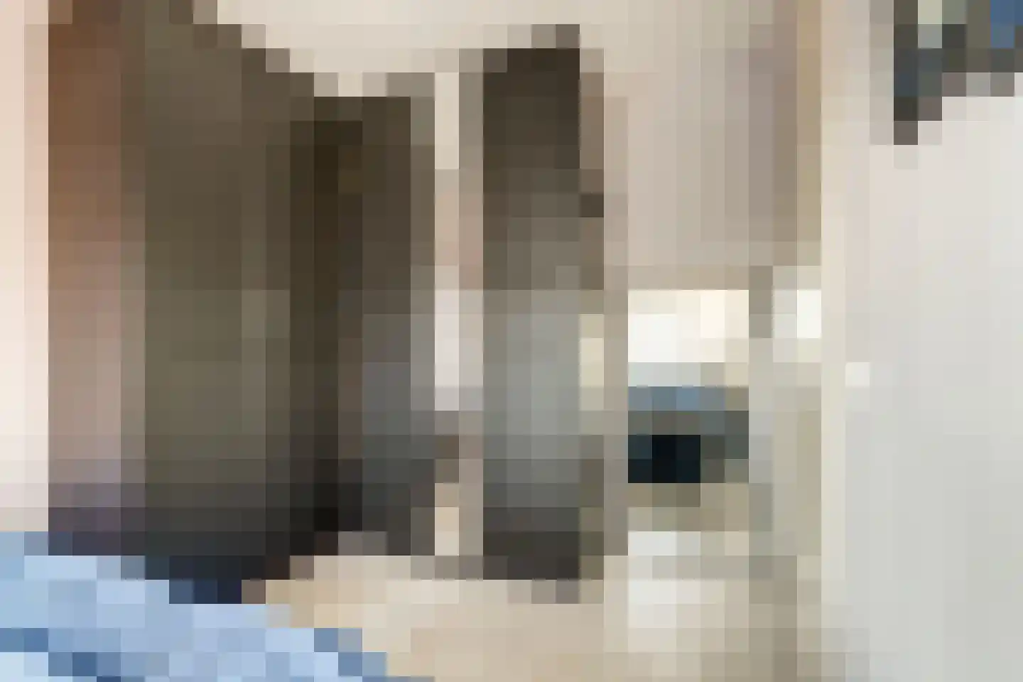 Colman 4 De Lier thumbnail 21