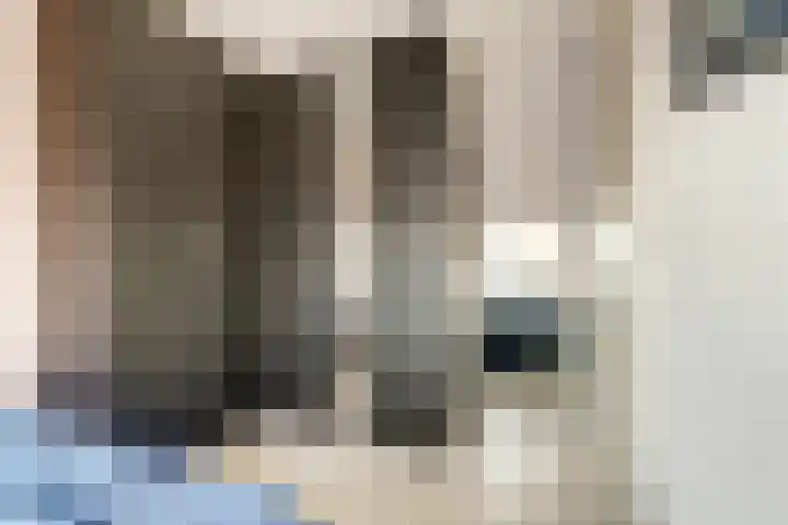 Colman 4 De Lier thumbnail 21