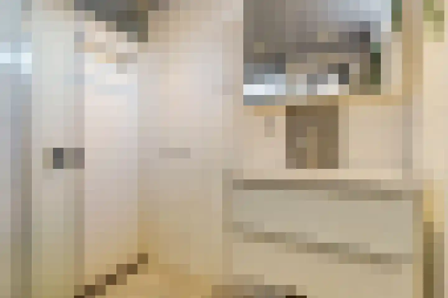 Colman 4 De Lier thumbnail 24