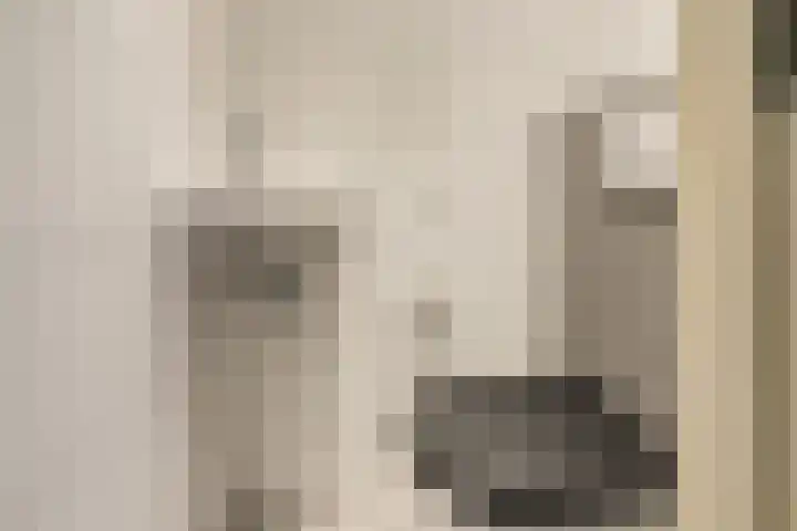 Colman 4 De Lier thumbnail 25