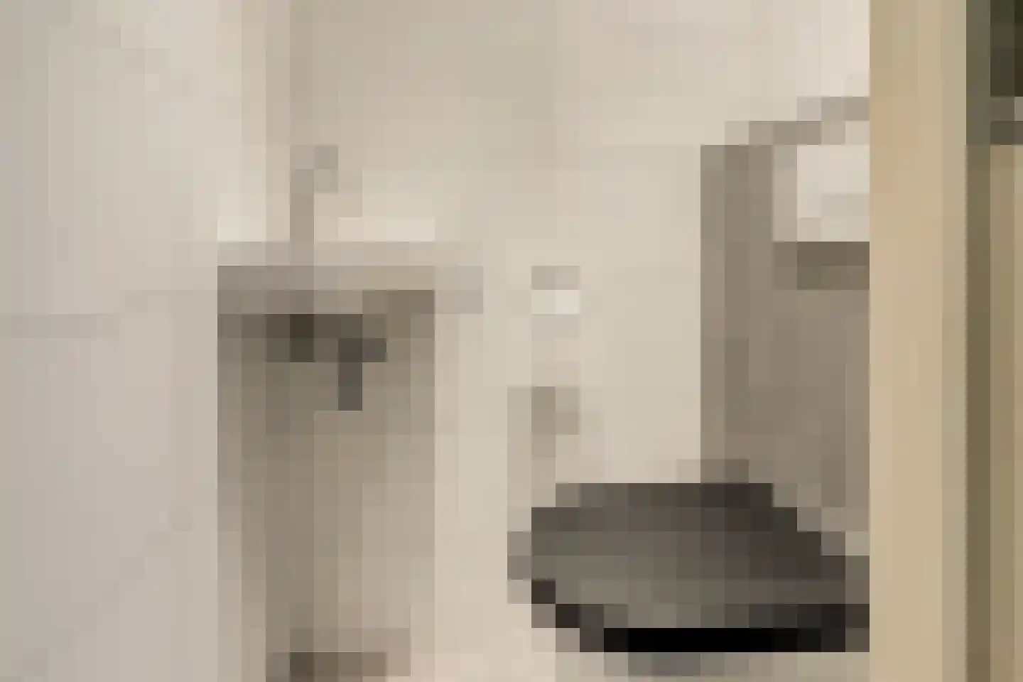 Colman 4 De Lier thumbnail 25