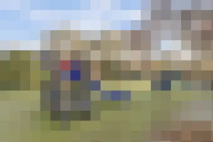 Colman 4 De Lier thumbnail 30