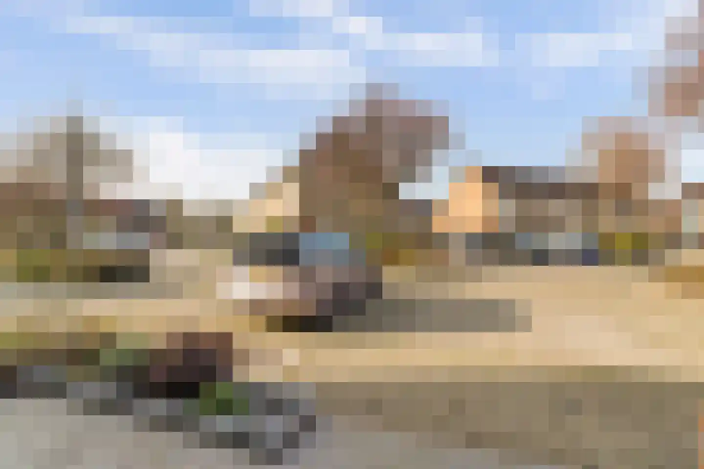 Colman 4 De Lier thumbnail 31