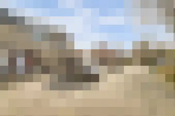 Colman 4 De Lier thumbnail 32
