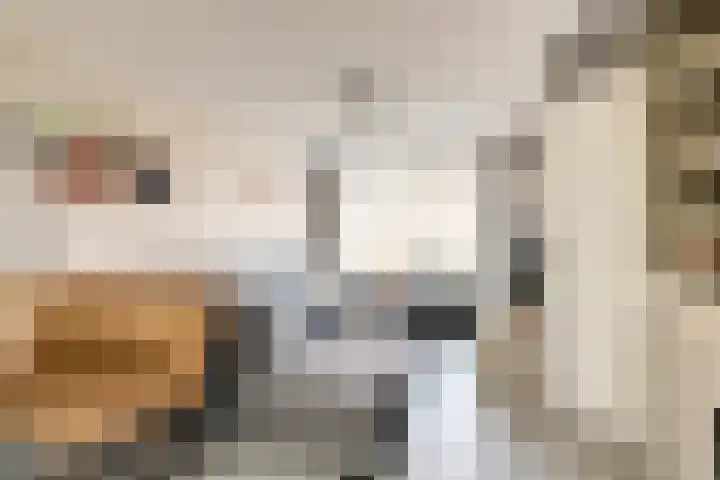 Colman 4 De Lier thumbnail 4