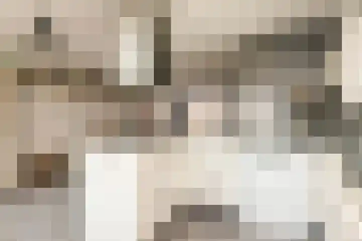 Colman 4 De Lier thumbnail 5