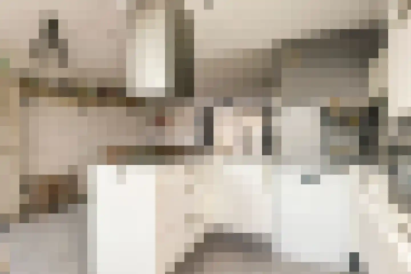 Colman 4 De Lier thumbnail 5
