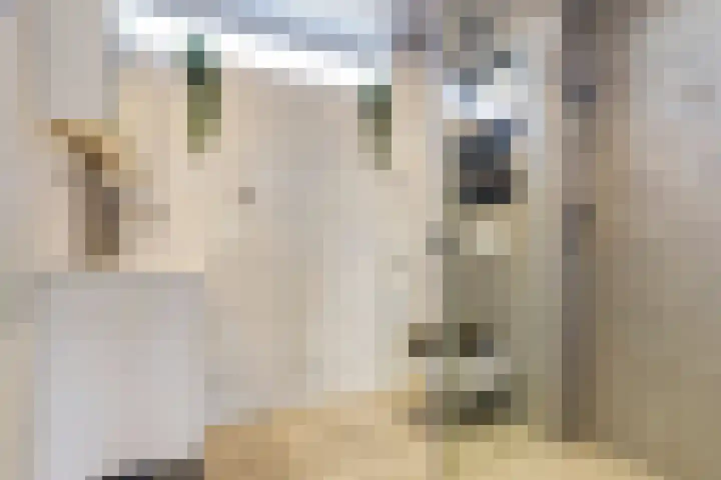 Colman 4 De Lier thumbnail 6