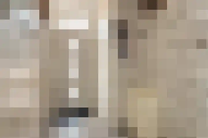 Colman 4 De Lier thumbnail 8