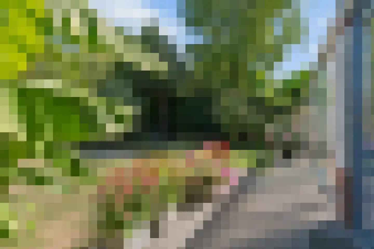 Colmarstraat 47 Nijmegen thumbnail 42
