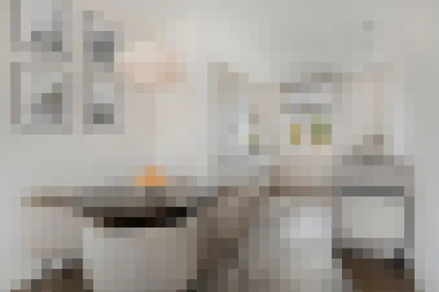 Colognekaai 20 Bergen op Zoom thumbnail 18
