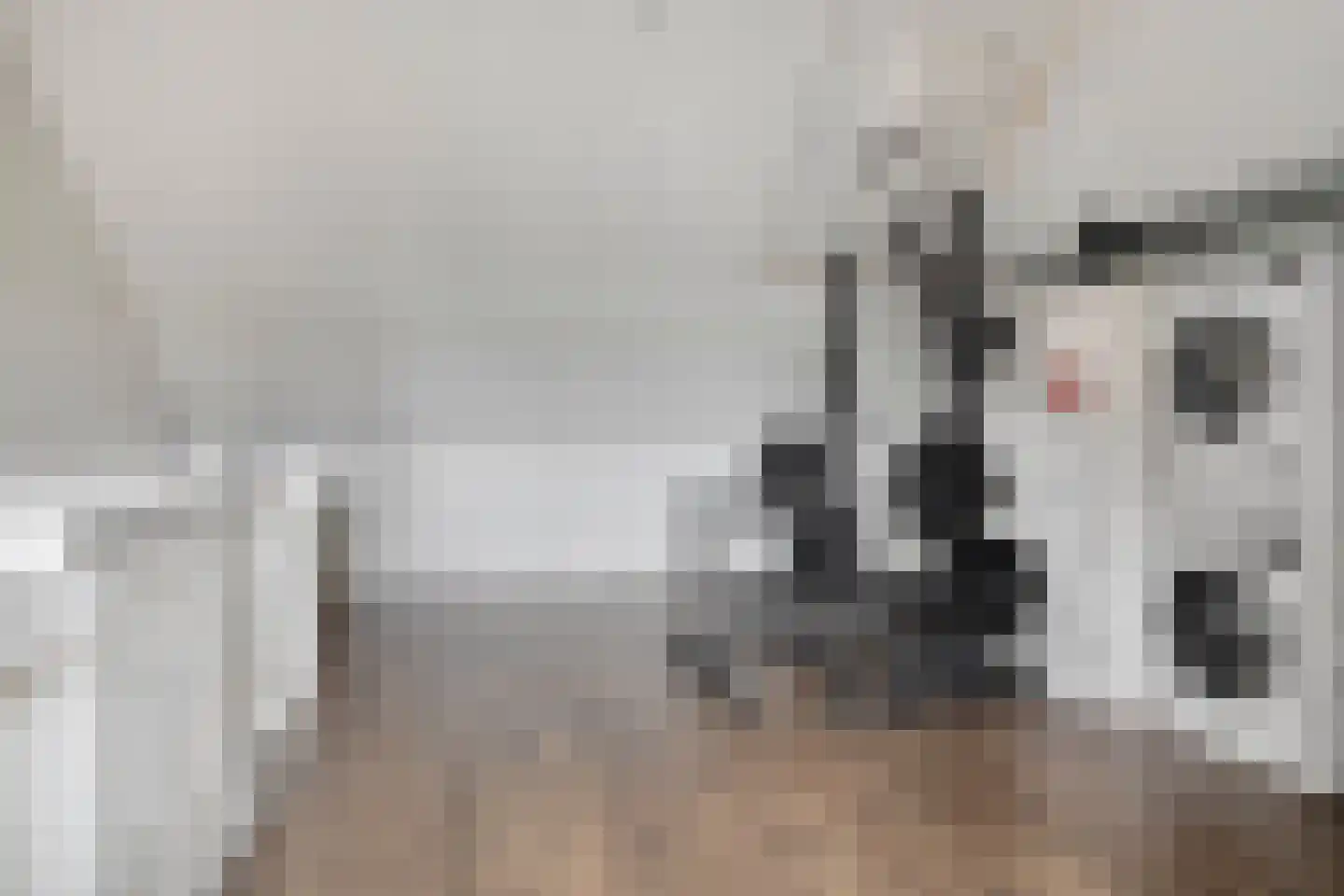 Colognekaai 20 Bergen op Zoom thumbnail 33