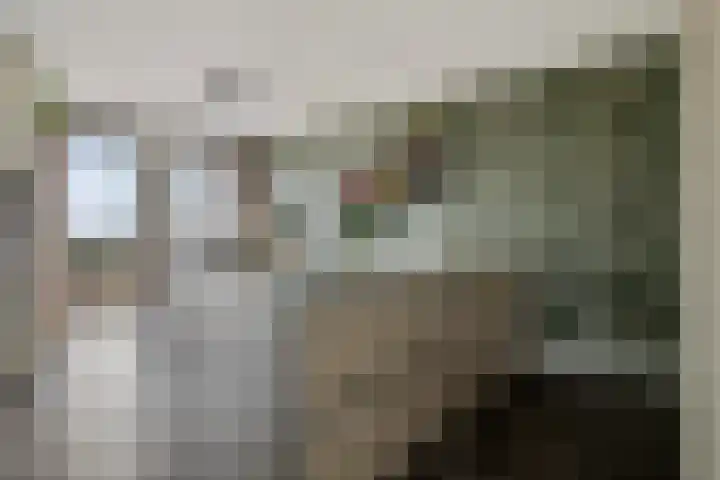 Colognekaai 4 a Bergen op Zoom thumbnail 20