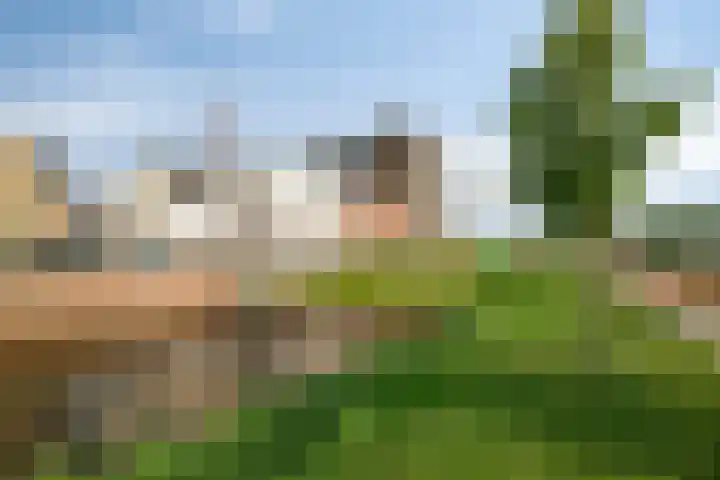 Colognekaai 4 a Bergen op Zoom thumbnail 45