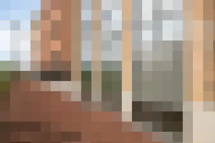 Colognekaai 4 a Bergen op Zoom thumbnail 6